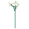 NANU-NANA Geschenkideen*Bausteine-Set 3D, Jasmin, 32 Cm