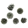 NANU-NANA Adventskränze & Zubehör|Weihnachtsdeko*6er Set Tannenzapfen Metallic, Grün