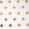 NANU-NANA Geschenkverpackungen*Geschenkpapier Stern, Creme/gold, 2 M