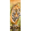 NANU-NANA Poster*Jumboposter Big Tiger Walking, Nr. 33