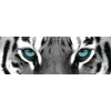 NANU-NANA Poster*Jumboposter Blue Tiger Eyes, Nr. 16