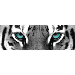 NANU-NANA Poster*Jumboposter Blue Tiger Eyes, Nr. 16