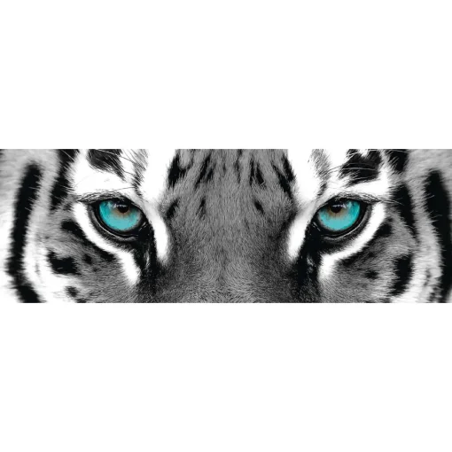 NANU-NANA Poster*Jumboposter Blue Tiger Eyes, Nr. 16