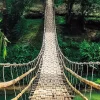 NANU-NANA Poster*Jumboposter Jungle Bridge, Nr. 37