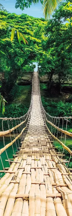 NANU-NANA Poster*Jumboposter Jungle Bridge, Nr. 37