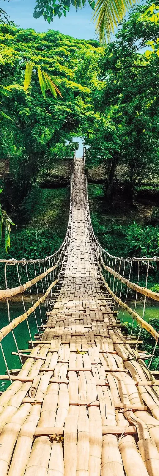 NANU-NANA Poster*Jumboposter Jungle Bridge, Nr. 37