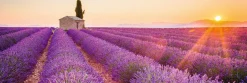NANU-NANA Poster*Jumboposter Lavender Horizon, Nr. 17