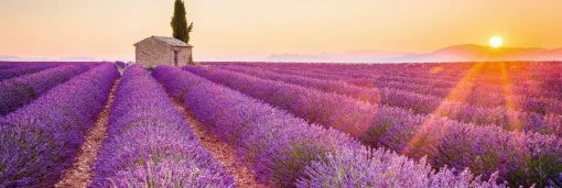 NANU-NANA Poster*Jumboposter Lavender Horizon, Nr. 17