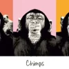NANU-NANA Poster*Jumboposter The Chimp - Pop, Nr. 36