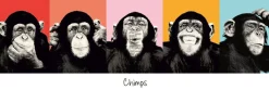 NANU-NANA Poster*Jumboposter The Chimp - Pop, Nr. 36