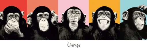 NANU-NANA Poster*Jumboposter The Chimp - Pop, Nr. 36