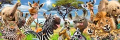 NANU-NANA Poster*Jumboposter Wildlife Funnies, Nr. 28
