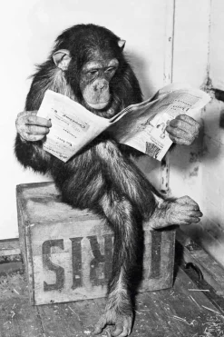 NANU-NANA Poster*Poster Ape News, Nr. 159