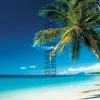 NANU-NANA Poster*Poster Beach - Morning, Nr. 67