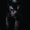 NANU-NANA Poster|Weihnachtsgeschenke*Poster Black Panther, Nr. 179