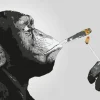 NANU-NANA Poster*Poster Monkey Joint Time, Nr. 226