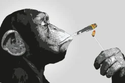 NANU-NANA Poster*Poster Monkey Joint Time, Nr. 226
