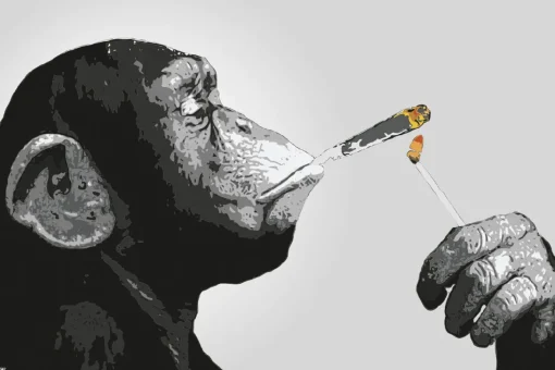 NANU-NANA Poster*Poster Monkey Joint Time, Nr. 226