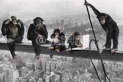 NANU-NANA Poster*Poster The Chimp - Girder, Nr. 166