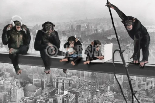 NANU-NANA Poster*Poster The Chimp - Girder, Nr. 166