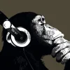 NANU-NANA Poster*Poster The Chimp - Stereo, Nr. 155