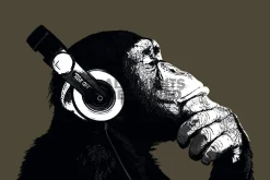 NANU-NANA Poster*Poster The Chimp - Stereo, Nr. 155