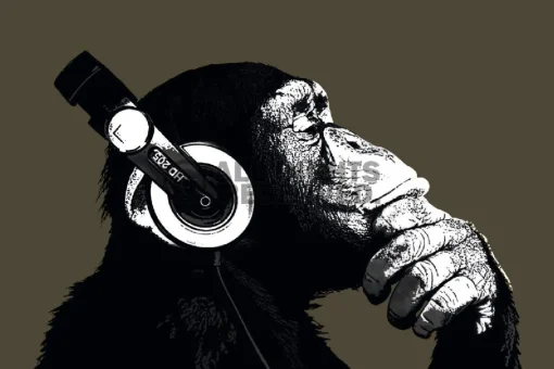NANU-NANA Poster*Poster The Chimp - Stereo, Nr. 155