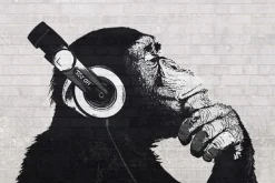 NANU-NANA Poster*Poster The Chimp Stereo - Wall, Nr. 228