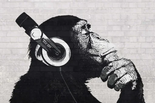 NANU-NANA Poster*Poster The Chimp Stereo - Wall, Nr. 228