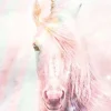 NANU-NANA Poster*Poster Unicorn Fluffy, Nr. 144