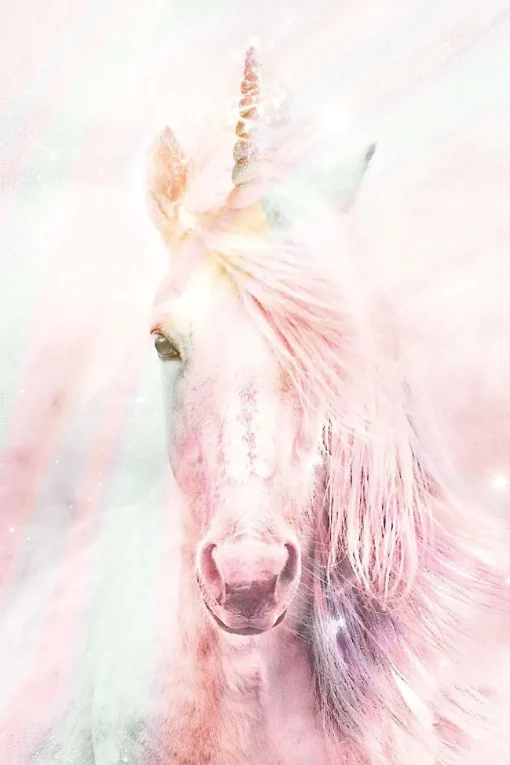 NANU-NANA Poster*Poster Unicorn Fluffy, Nr. 144