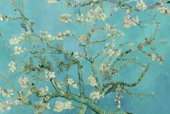 NANU-NANA Poster*Poster Van Gogh Amandelbloesem, Nr. 71