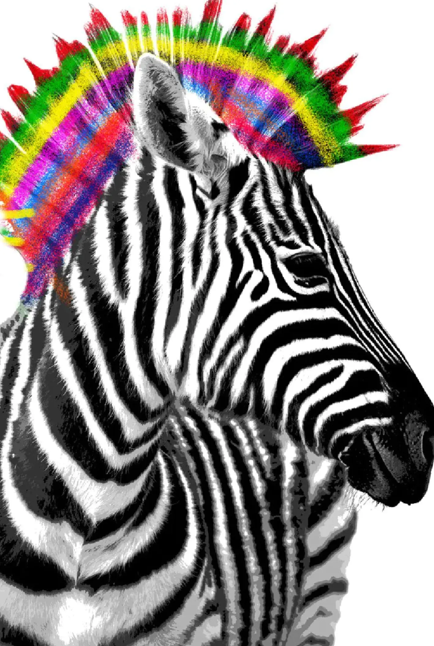 NANU-NANA Poster*Poster Zebra Punk, Nr. 238