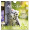 NANU-NANA Kalender & Planer|Weihnachtsgeschenke*Postkarten Kalender, 2025, Auf Leisen Pfoten