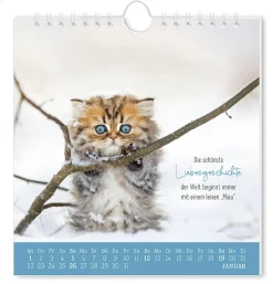 NANU-NANA Kalender & Planer|Weihnachtsgeschenke*Postkarten Kalender, 2025, Auf Leisen Pfoten
