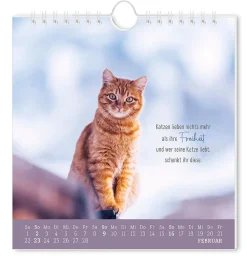 NANU-NANA Kalender & Planer|Weihnachtsgeschenke*Postkarten Kalender, 2025, Auf Leisen Pfoten