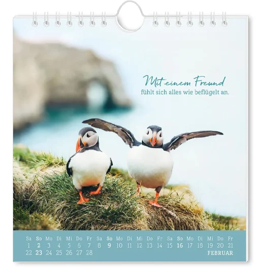 NANU-NANA Kalender & Planer|Weihnachtsgeschenke*Postkarten Kalender, 2025, Strandgut