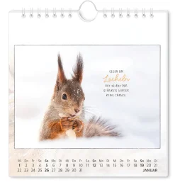 NANU-NANA Kalender & Planer|Weihnachtsgeschenke*Postkarten Kalender, 2025,Traumtage
