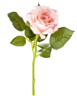 NANU-NANA Tischdeko Hochzeit|Hochzeitsdeko*Rose, 30 Cm, Apricot