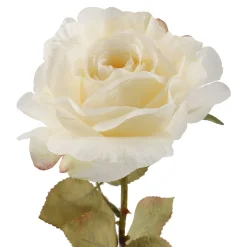 NANU-NANA Vasen & Kunstblumen|Herbstdeko*Rose Theresa, Creme, 63 Cm