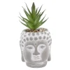 NANU-NANA Outdoor & Garten*Sukkulente Buddhakopf, Grün/spitz, 15 Cm