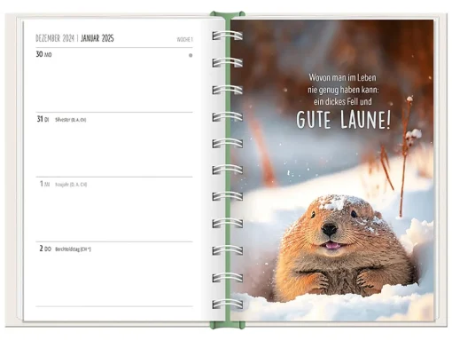 NANU-NANA Kalender & Planer|Weihnachtsgeschenke*Terminplaner 2025, Happymacher