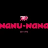 NANU-NANA Shop The Look Xmas*Zweig Tanne, Schnee/Zapfen, 26 Cm